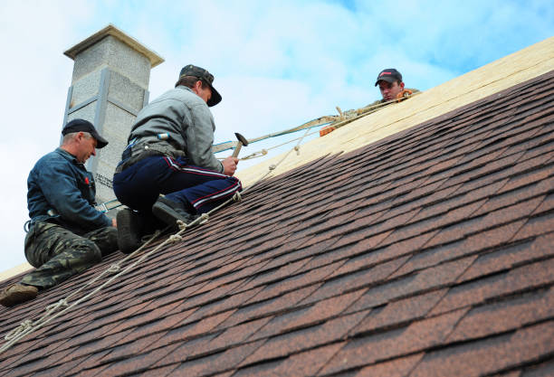 Professional Roofing Contractor in Lantana, TX